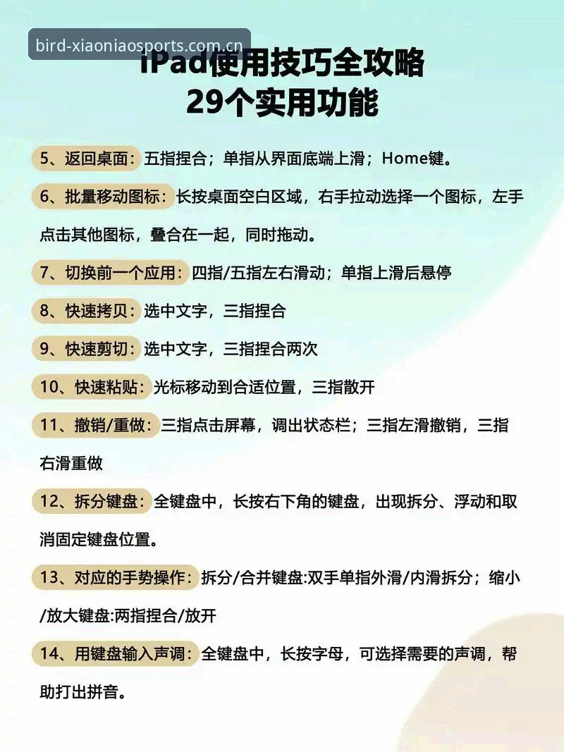 小鸟体育使用教程，从下载到沉浸式看赛事体验究竟如何操作？